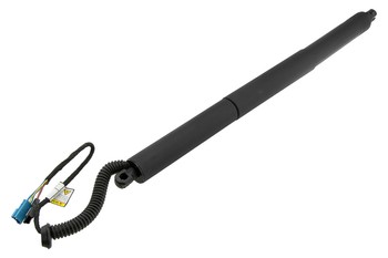 Gasveer, Kofferruimte OEM 51244823279 - € 79,95