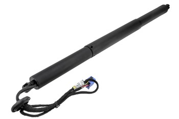 Gasveer, Achterklep OEM 2538900600 - € 119,95