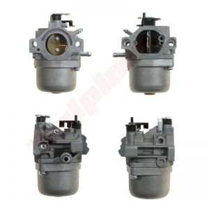 Carburateur passend op 495706 , 498027 , 498231 , 499161