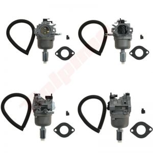 Carburateur passend op 591731, 594593, 796109