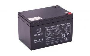 12 volt accu 12 AH