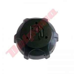Benzinedop passend op OEM 494406 , 497929 , 498809