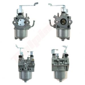 Carburateur passend op EX30