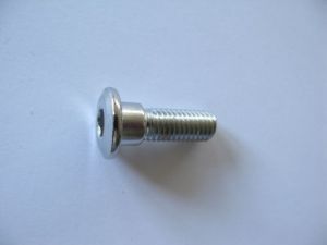 achterrembouten (4 stuks) M8x25