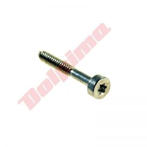 Schroef passend op T27 D5,3X41 ( 9075 478 4195 ) CYLINDER MS250