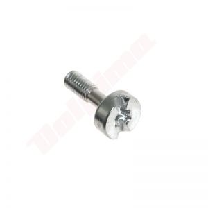 Schroef passend op TS410 ( 9022 319 0981 )
