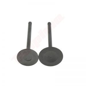 Kleppenset passend op EX40 ( 20B-33401-H3 )