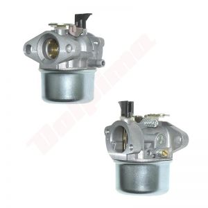 Carburateur passend op 498965