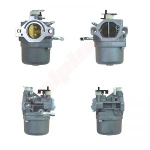 Carburateur passend op  ( 590399 , 796077 )