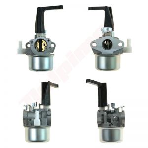 Carburateur passend op  ( 696065 , 697422 )