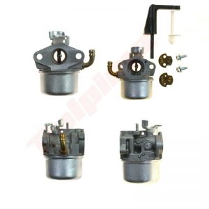 Carburateur passend op (798653 , 697354 , 790290 , 791077 , 6988