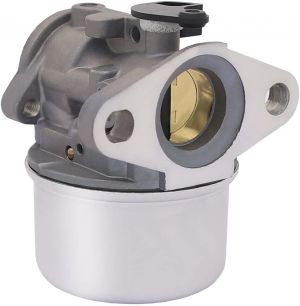 Carburateur passend op  799868,  694202 693909 692648 499617 498