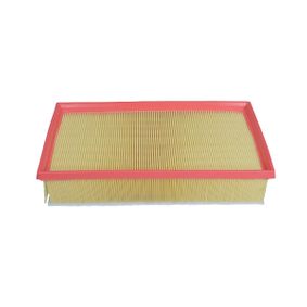 Luchtfilter OEM 9800097580