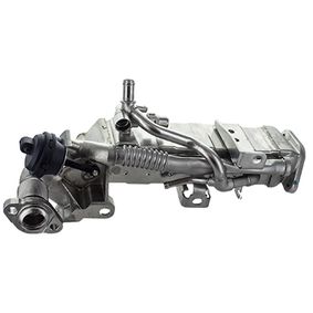 EGR Klep OE 11717810871
