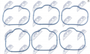 Pakking, inlaatspruitstuk OEM 5184331AC