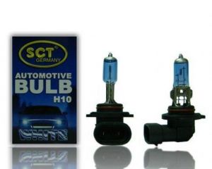 H10 Wit 12V 42W PY20d ( 202990 ) - € 2,99