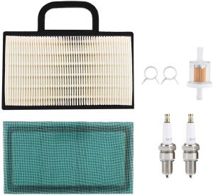Filter(Brandstof) set met 2 Bougies passend op  499486S 273638 5