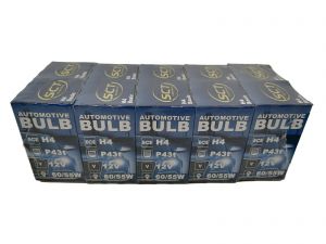 10 Stuks H4 Basic 12V 60/55W P43T  -  € 13,99