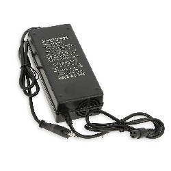 Acculader 60V 2A XLR Stekker Model DZL601001