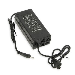 Acculader 60V 3A Model DZL602001