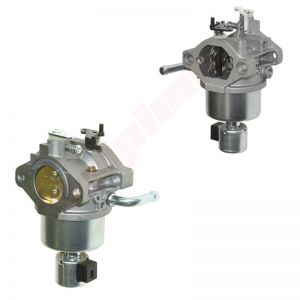 Carburateur passend op B&S ( 496796 , 499153 , 698620 , 7927