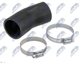 Laadluchtslang OEM 281634A160
