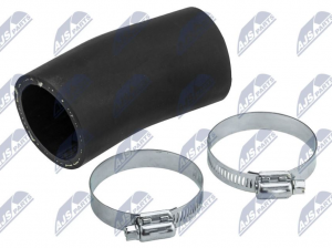 Laadluchtslang OEM 1734251010