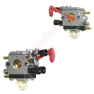Carburateur passend op BG 50 ( 4229 120 0608 , C1Q-S521 )