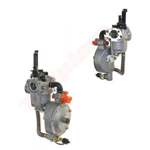 Carburateur passend op GX160 , GX200 19MM LPG A