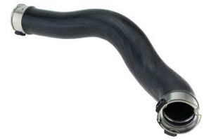 Laadluchtslang OEM 2465281282