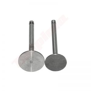 Kleppenset passend op YANMAR L 48 ( 114250-11101 , 114250-11113
