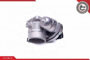 Gasklephuis OEM 1635N0