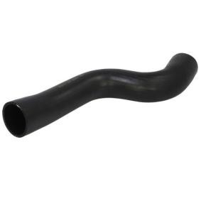 Laadluchtslang OEM 5801303588