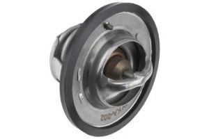 Thermostaat, koelvloeistof OEM 255002A100