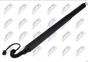 Gasveer, Achterklep OEM 81831J7710