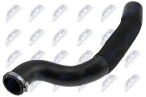 Laadluchtslang OEM 1722305