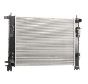 Radiateur OEM 214100078R
