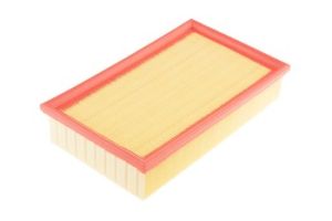 Luchtfilter OEM 1232494