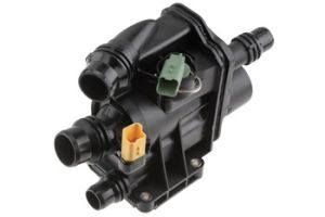 Thermostaathuis OEM 9812131480
