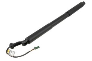 Elektro Motor, achterklep OEM 9836838680