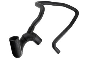 Radiateurslang OEM 13161004